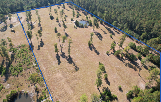 7.67 acres in Beulaville, NC with a Pond!